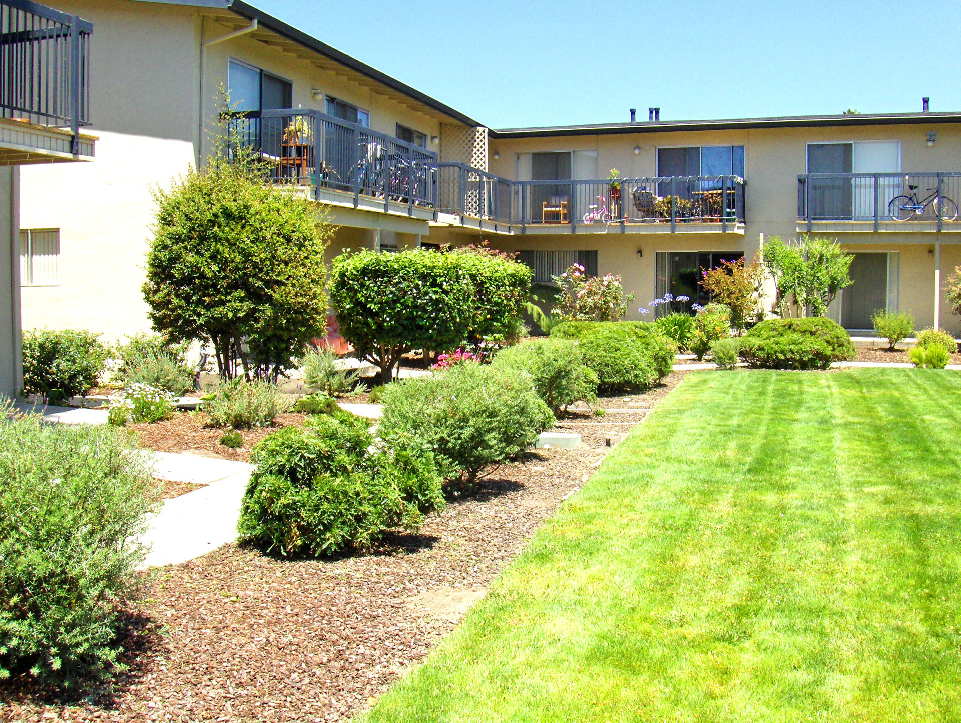 San Lorenzo Court Apartments Apartments in Santa Cruz, CA